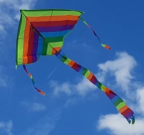 Kite