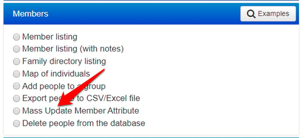 MassUpdate