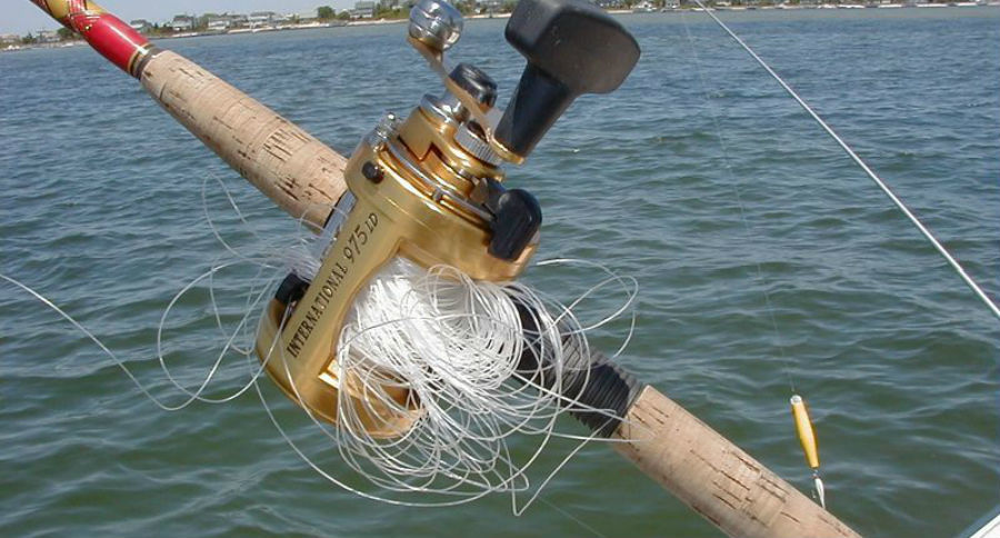tangled fishing line